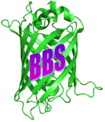 Belgian Biophysical Society